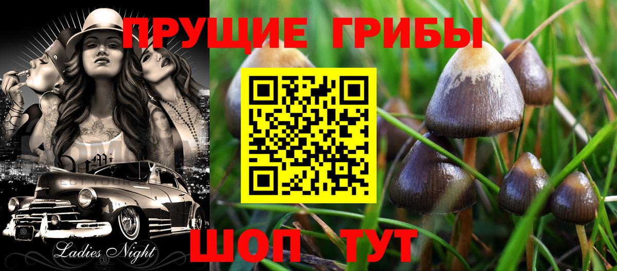 Дятьково  Псилоцибиновые грибы Psilocybe  Вход с VPN 
