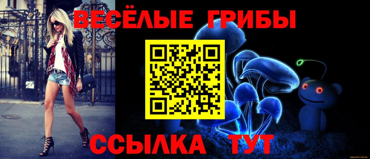 Псилоцибиновые грибы GOLDEN TEACHER Дятьково